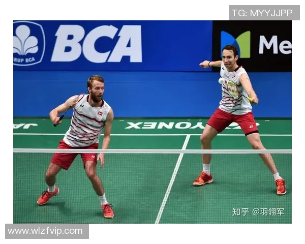 南京羽毛球队区域防守战术解析与实战应用探讨