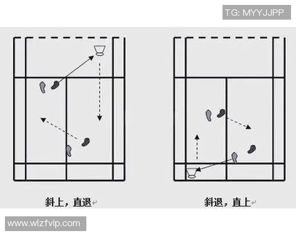 北京羽毛球队在冠军赛中的战术运用与表现分析 北京羽毛球队在冠军赛中的战术运用与表现分析