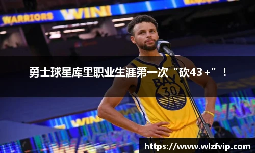 BB贝博登录入口