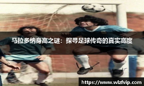 BB贝博艾佛森