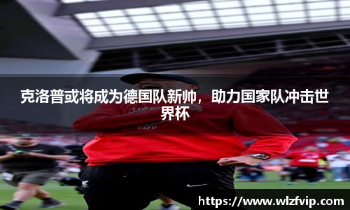 BB贝博登录入口