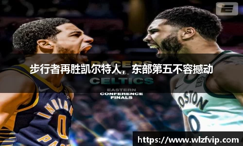 BB贝博登录入口