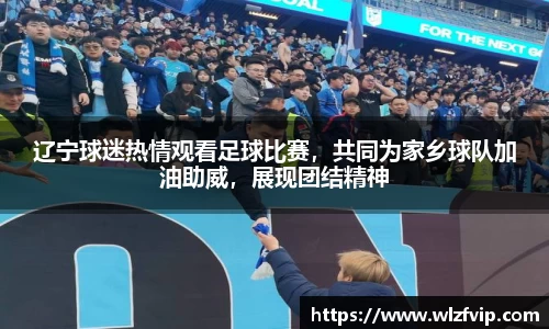 辽宁球迷热情观看足球比赛，共同为家乡球队加油助威，展现团结精神