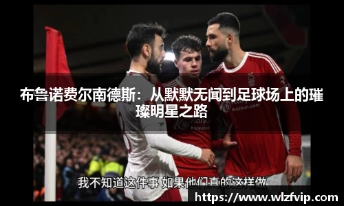 BB贝博ballbet
