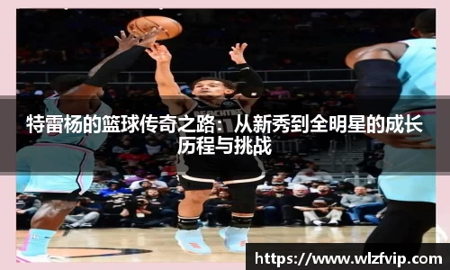 BB贝博ballbet