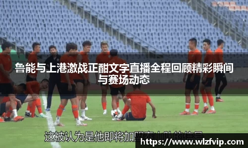 BB贝博