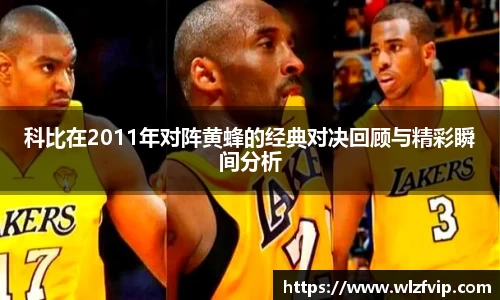 BB贝博登录入口