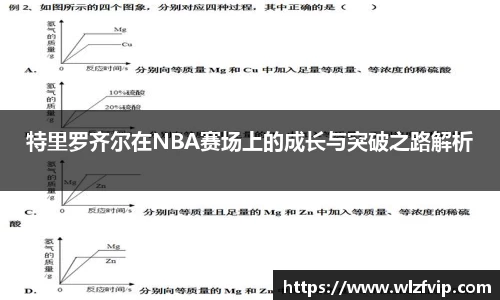 BB贝博ballbet