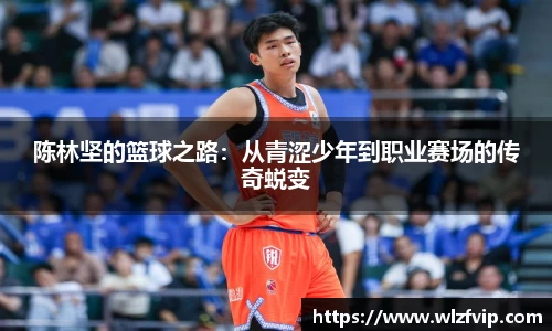 BB贝博ballbet