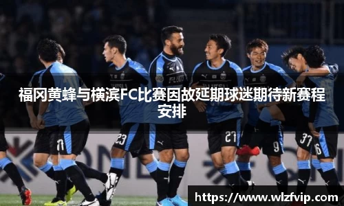 BB贝博登录入口