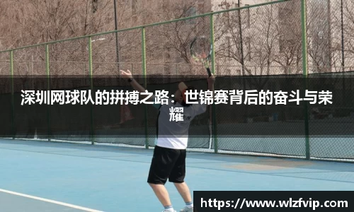 BB贝博登录入口