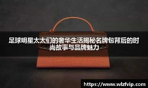 BB贝博登录入口